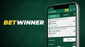 Betwinner The Ultimate Guide to Top Betting Experience